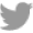 twitter icon